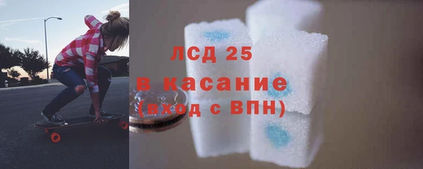 прущие грибы Верхнеуральск