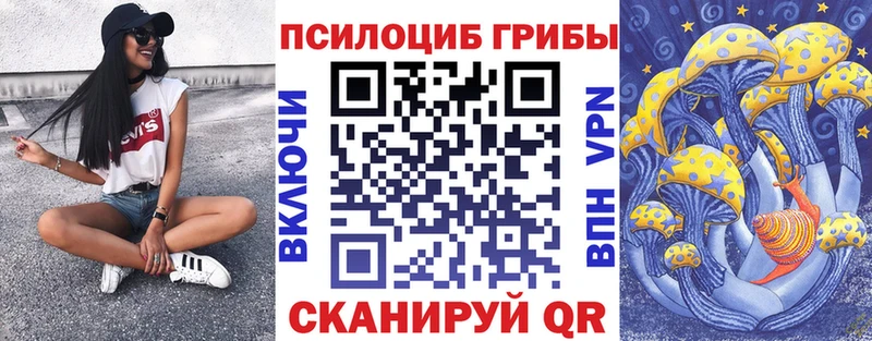 Купить  Белоозёрский  Псилоцибиновые грибы Psilocybe 